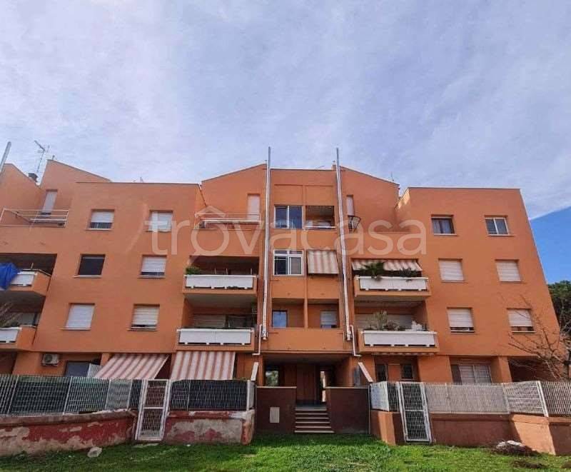 immagine annuncio 1 di 14