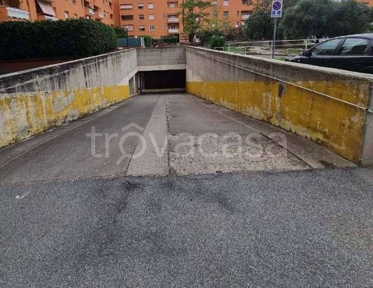 immagine annuncio 9 di 14