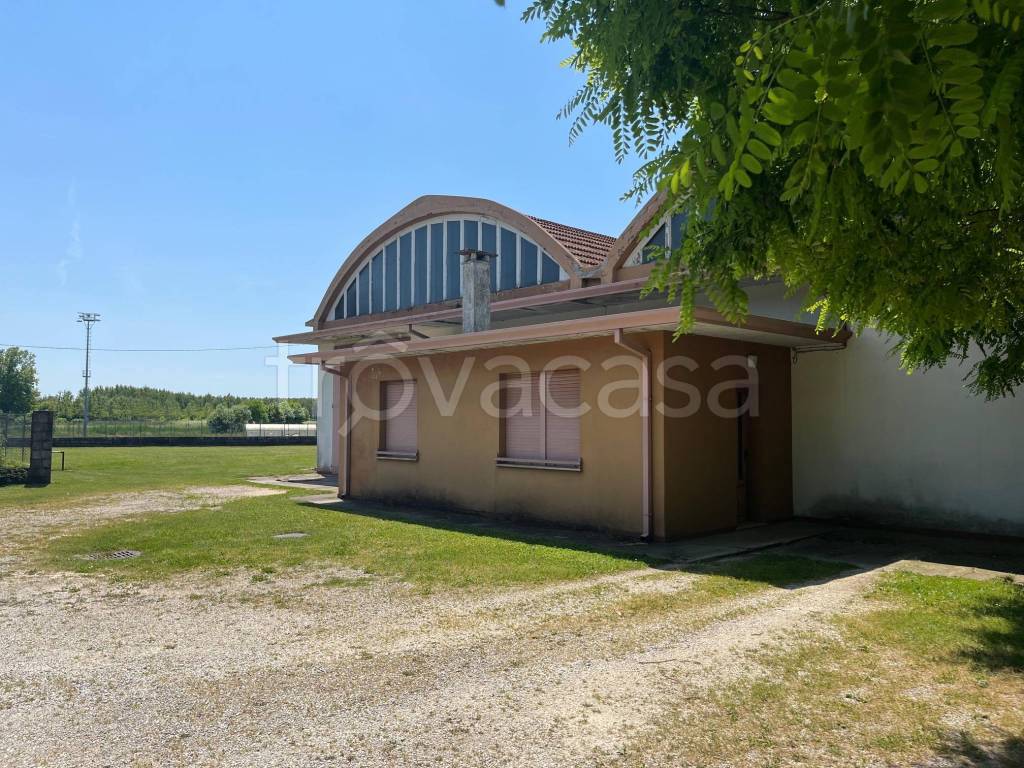 immagine annuncio 3 di 12