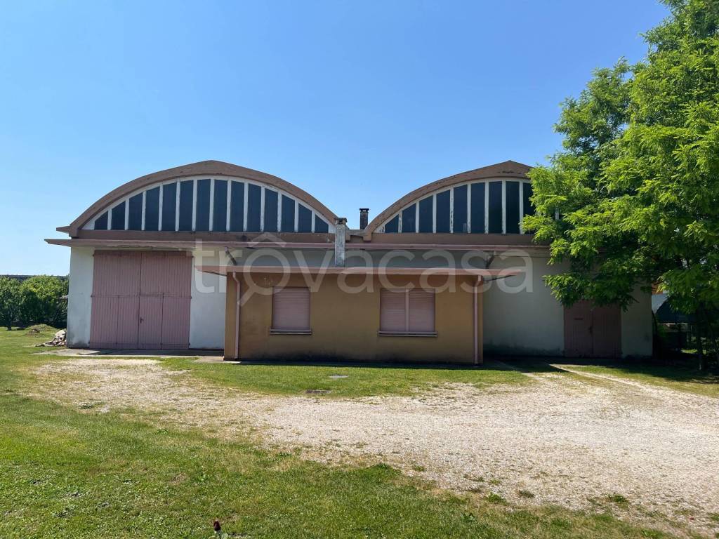 immagine annuncio 4 di 12