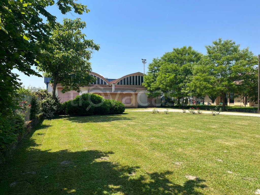 immagine annuncio 5 di 12