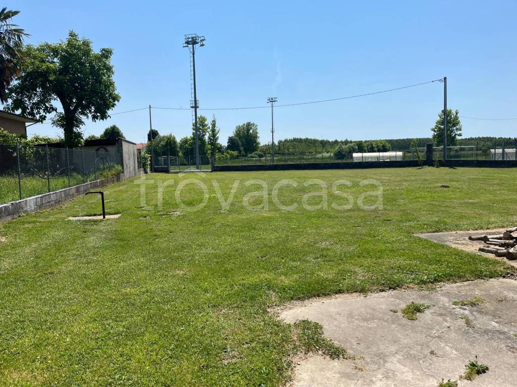 immagine annuncio 7 di 12