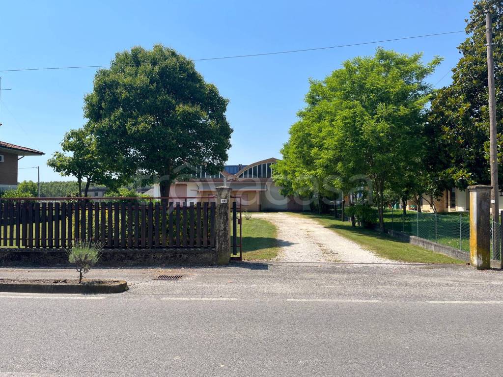 immagine annuncio 9 di 12