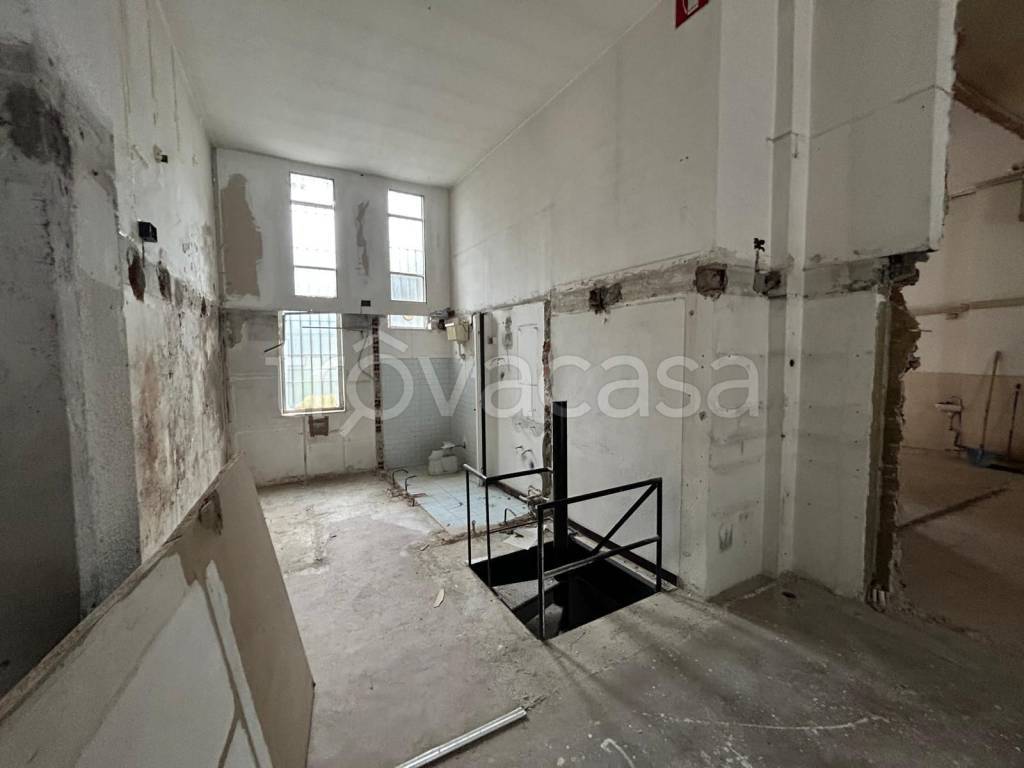 immagine annuncio 6 di 14