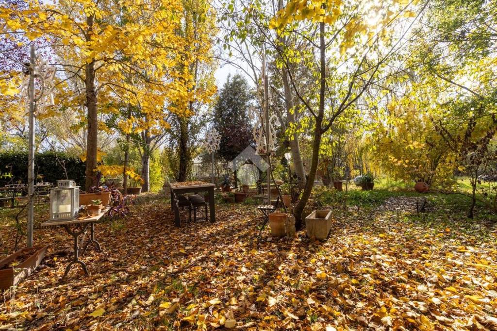 immagine annuncio 5 di 13