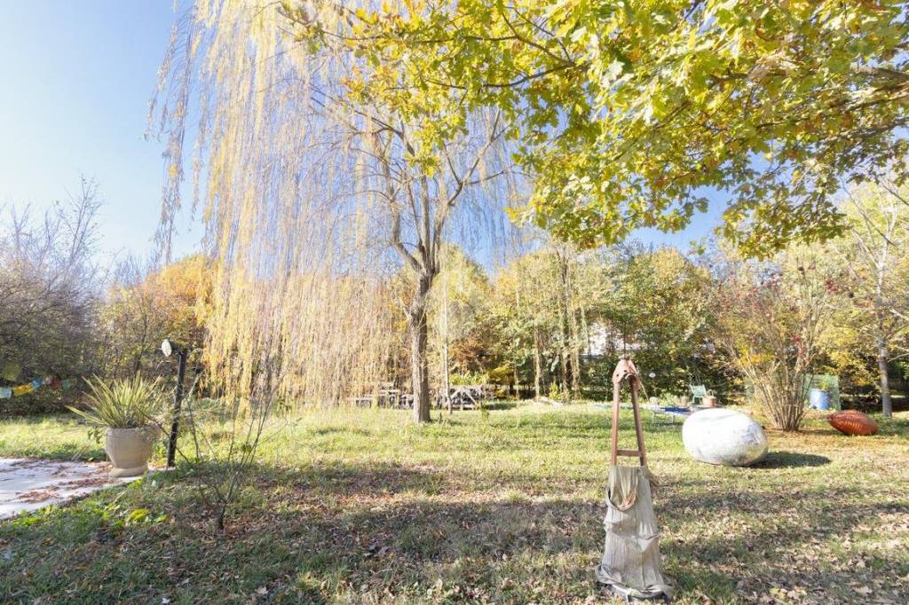 immagine annuncio 11 di 13