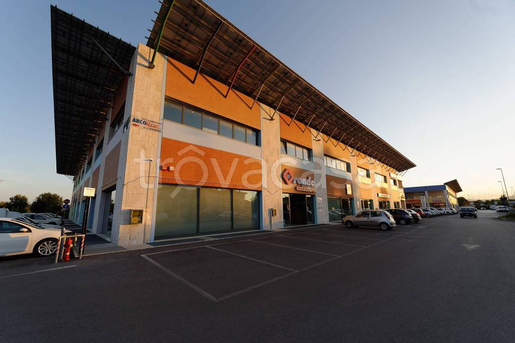 immagine annuncio 5 di 11