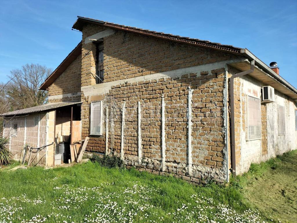 immagine annuncio 1 di 11