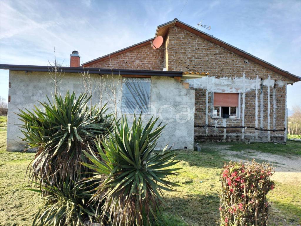 immagine annuncio 5 di 11