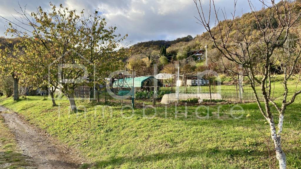 immagine annuncio 5 di 8