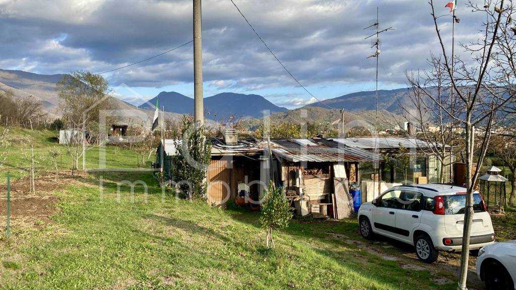 immagine annuncio 3 di 8