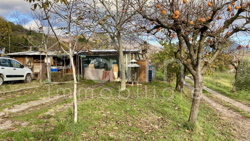 immagine annuncio 4 di 8