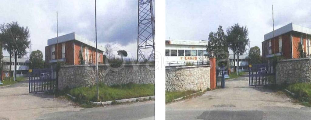 immagine annuncio 4 di 11