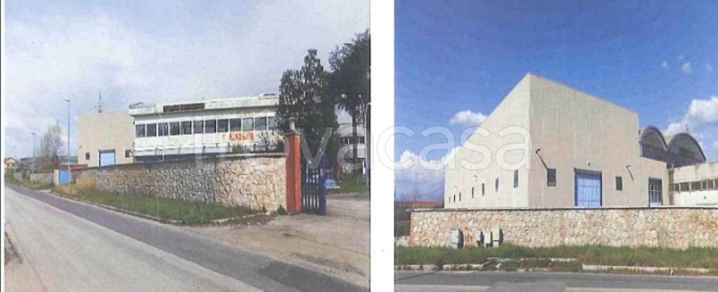 immagine annuncio 5 di 11