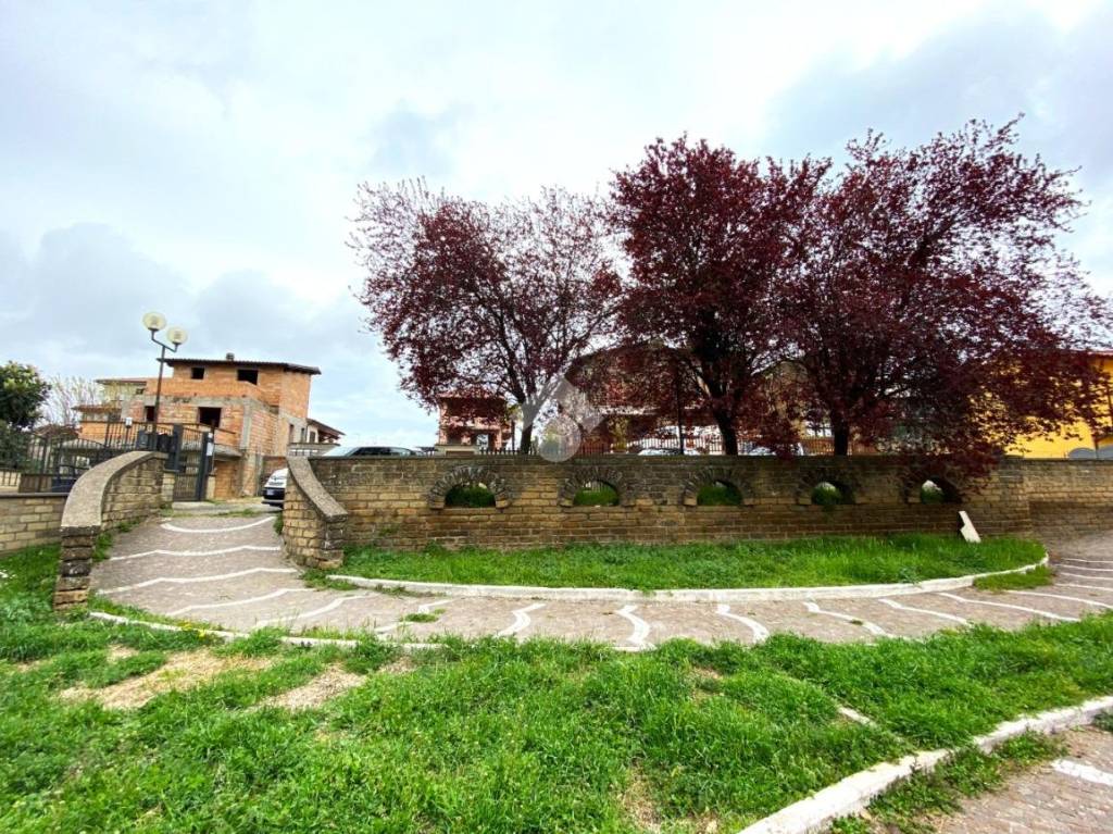 immagine annuncio 12 di 13