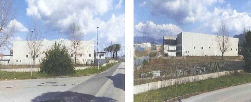 immagine annuncio 6 di 11