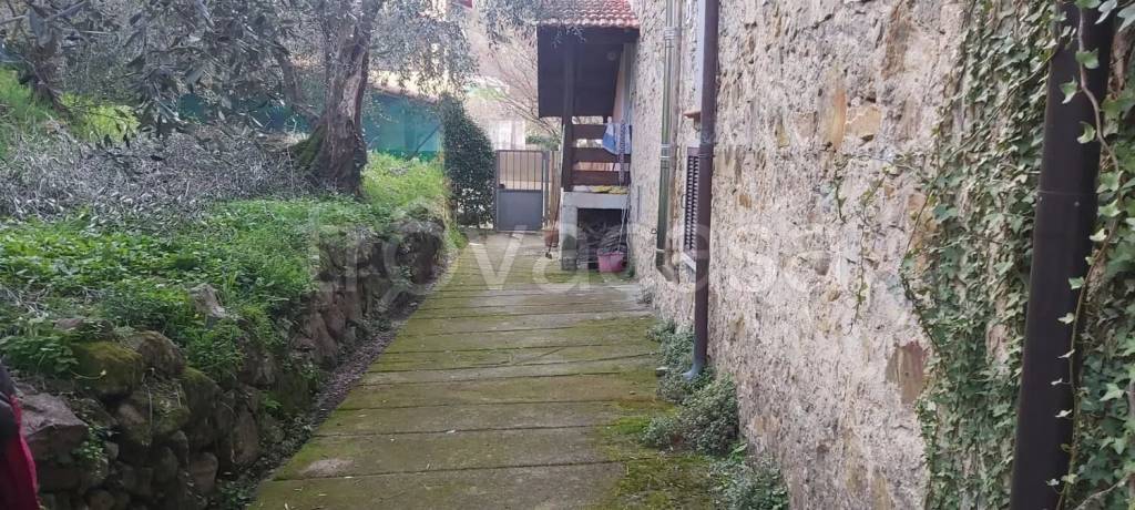 immagine annuncio 2 di 6