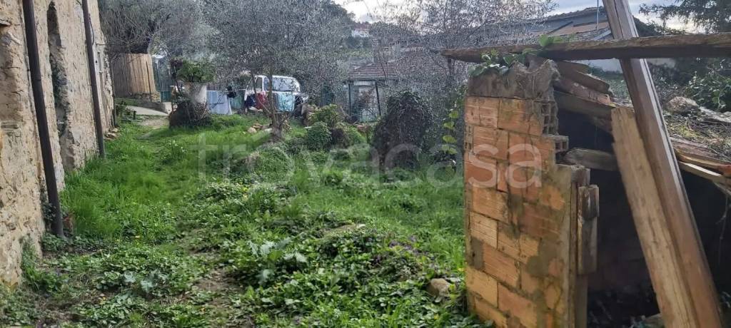 immagine annuncio 5 di 6