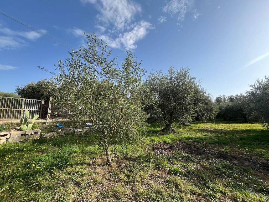 immagine annuncio 1 di 8