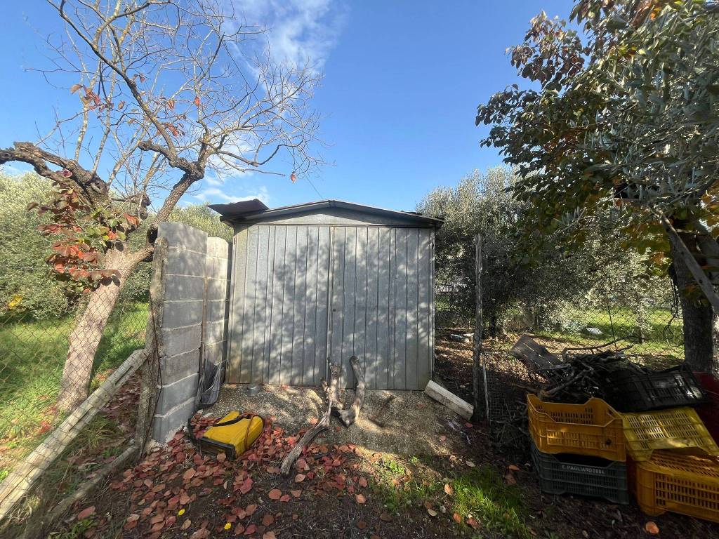 immagine annuncio 2 di 8