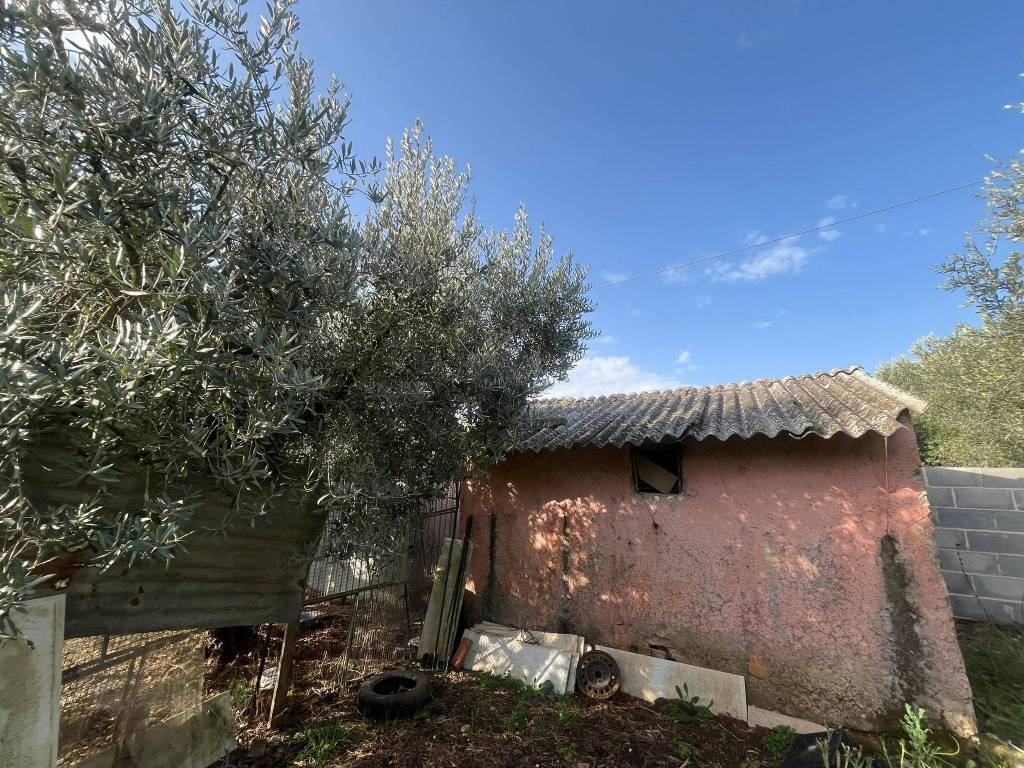 immagine annuncio 4 di 8