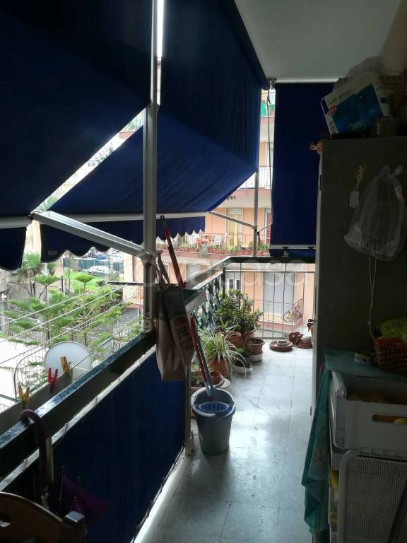 immagine annuncio 3 di 14