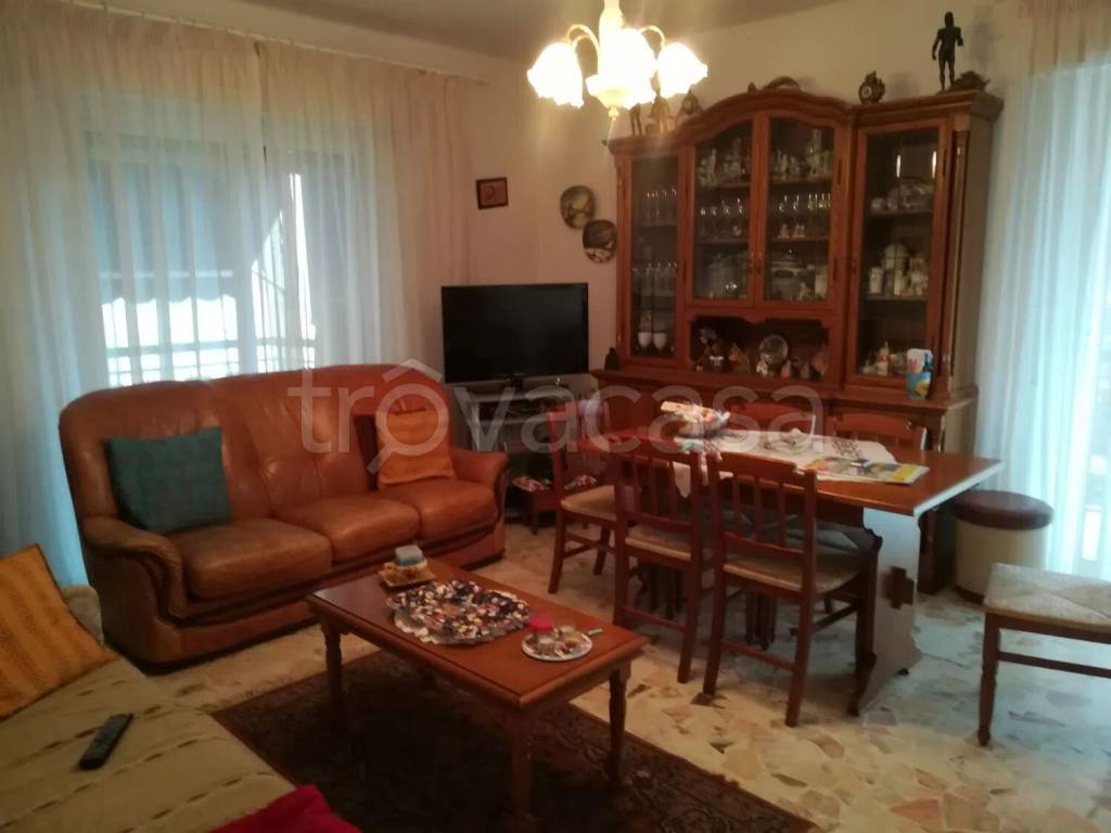 immagine annuncio 4 di 14