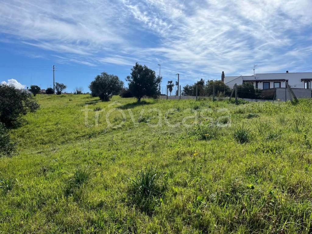 immagine annuncio 3 di 7