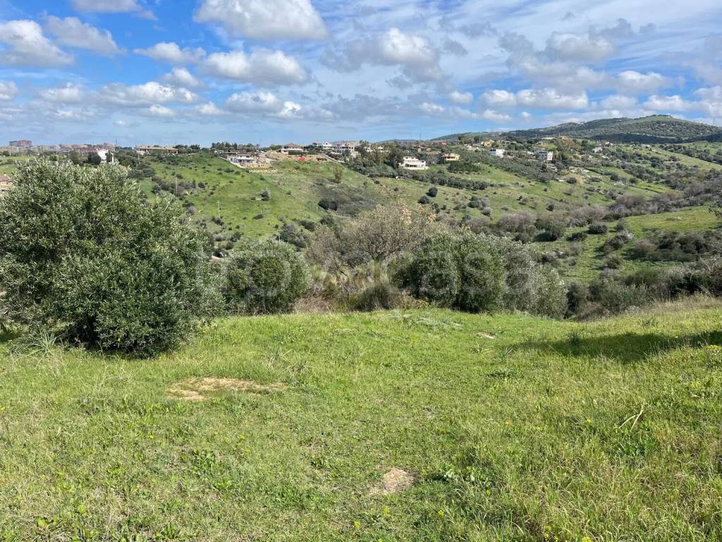 immagine annuncio 5 di 7