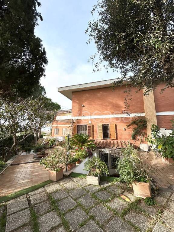 immagine annuncio 11 di 13