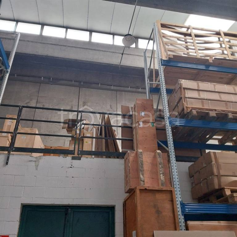 immagine annuncio 1 di 9