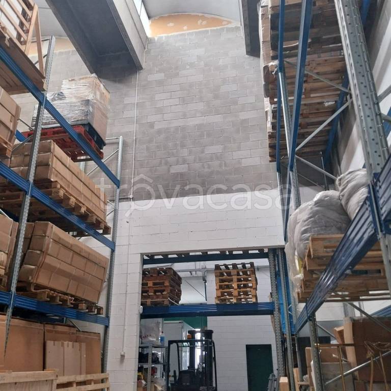 immagine annuncio 2 di 9