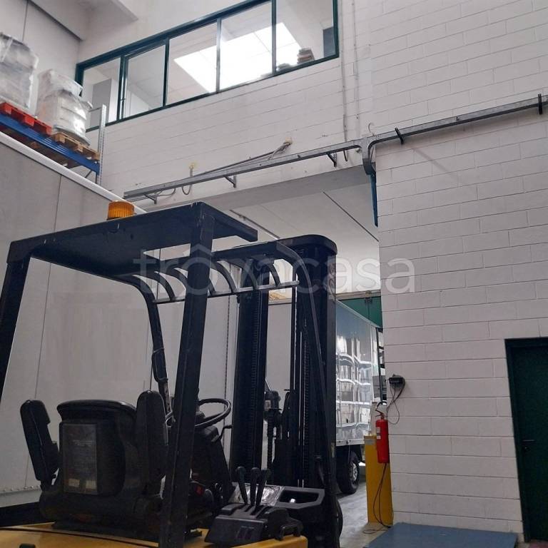 immagine annuncio 3 di 9