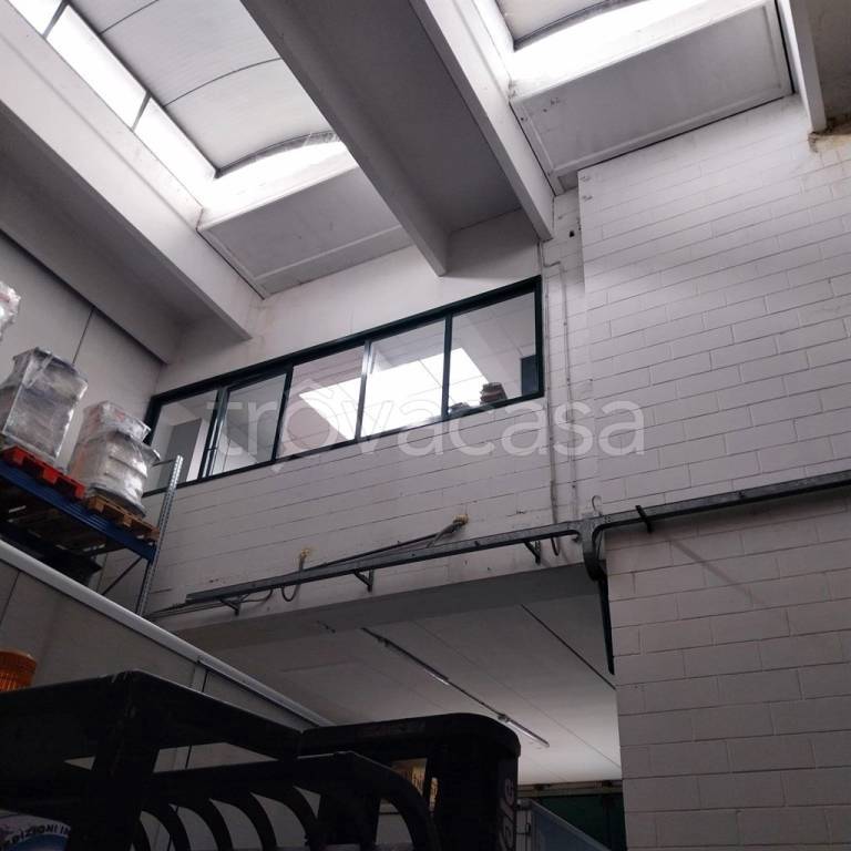 immagine annuncio 4 di 9