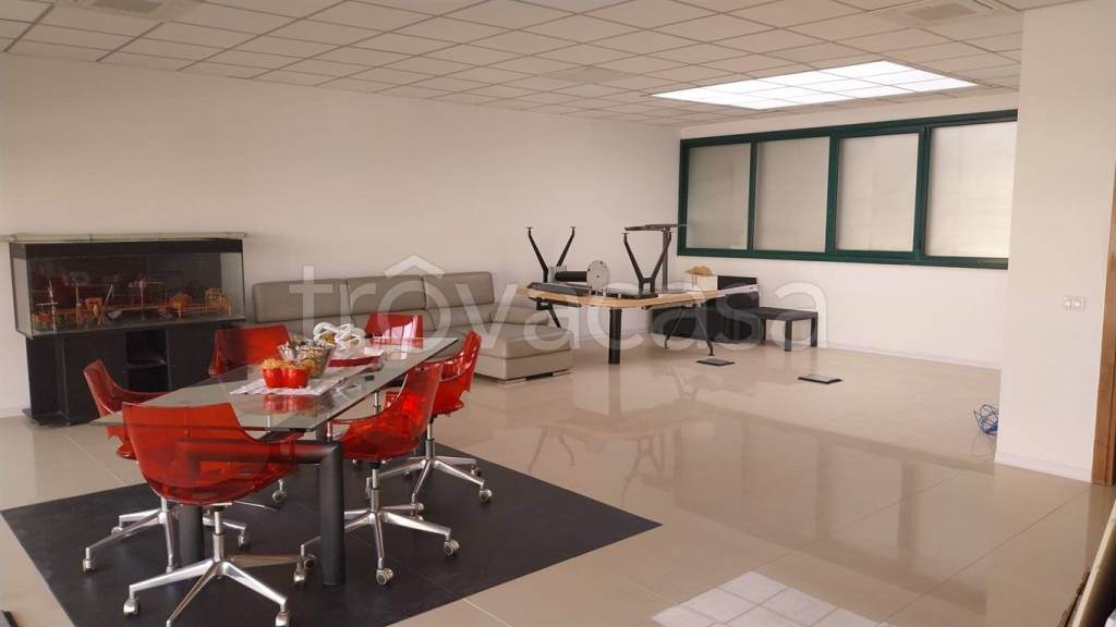 immagine annuncio 7 di 9