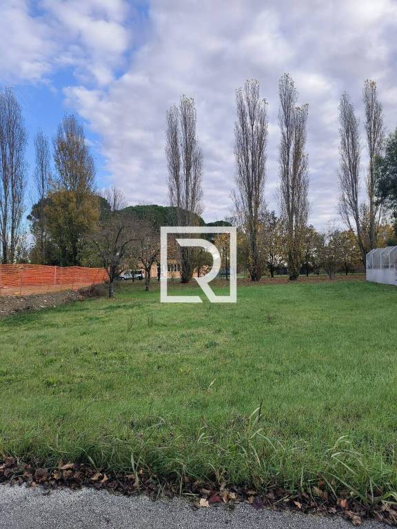 immagine annuncio 6 di 12