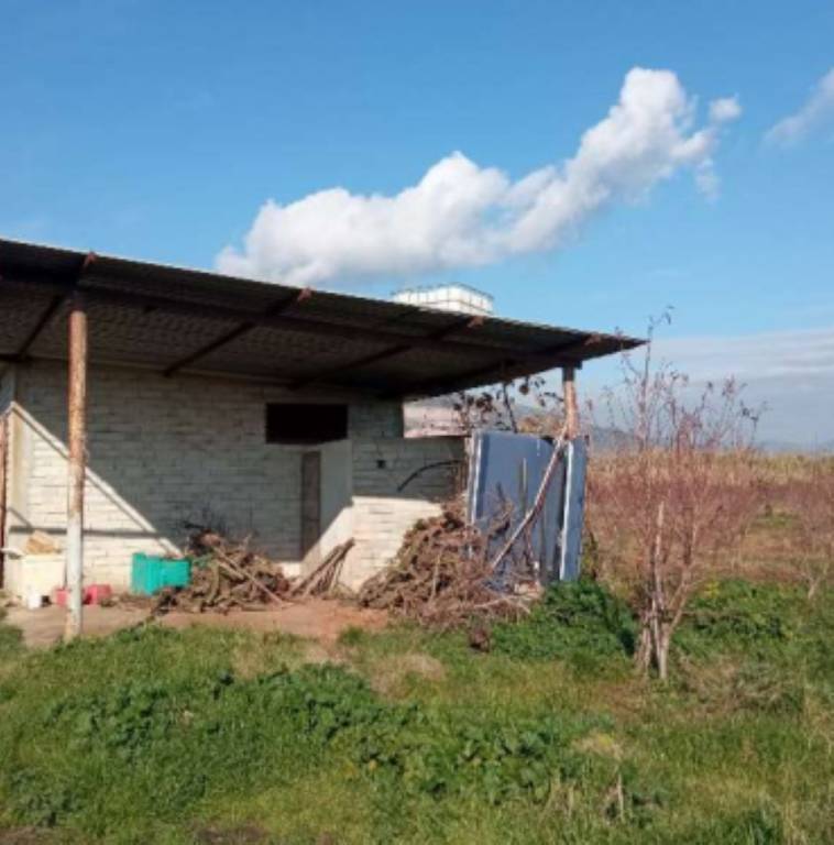 immagine annuncio 2 di 12