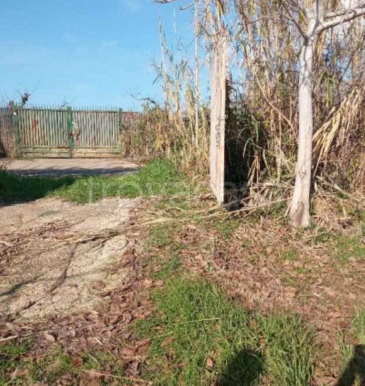 immagine annuncio 4 di 12