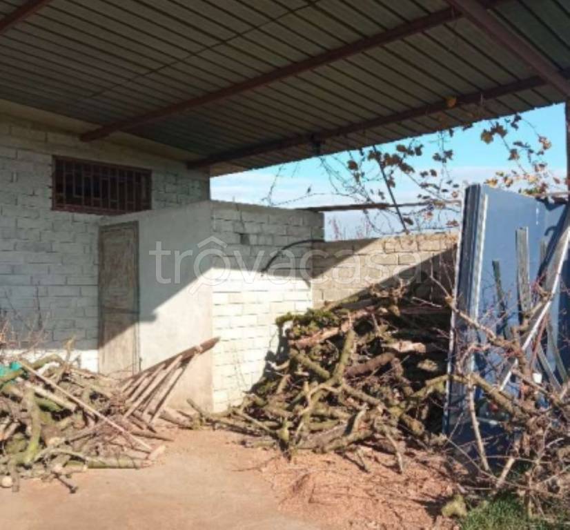 immagine annuncio 7 di 12