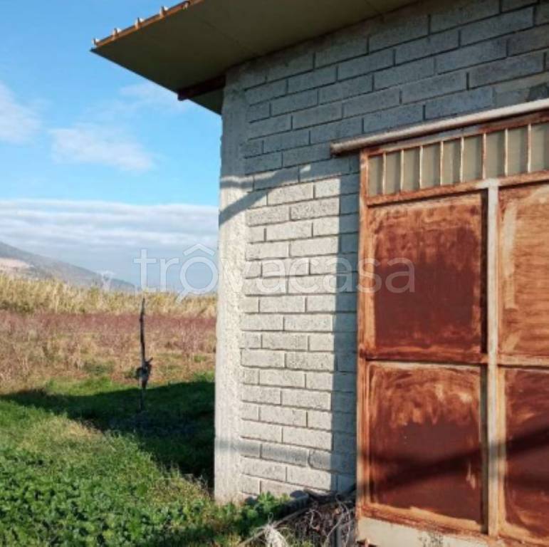 immagine annuncio 9 di 12