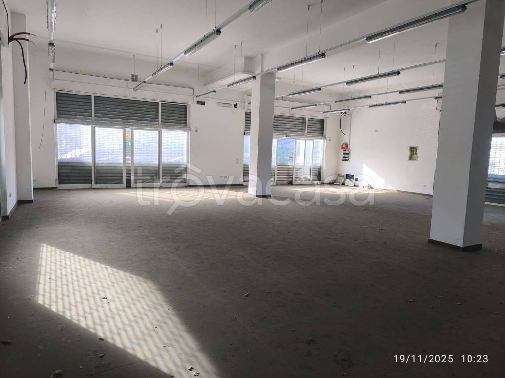 immagine annuncio 4 di 8