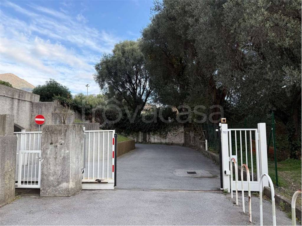 immagine annuncio 1 di 4