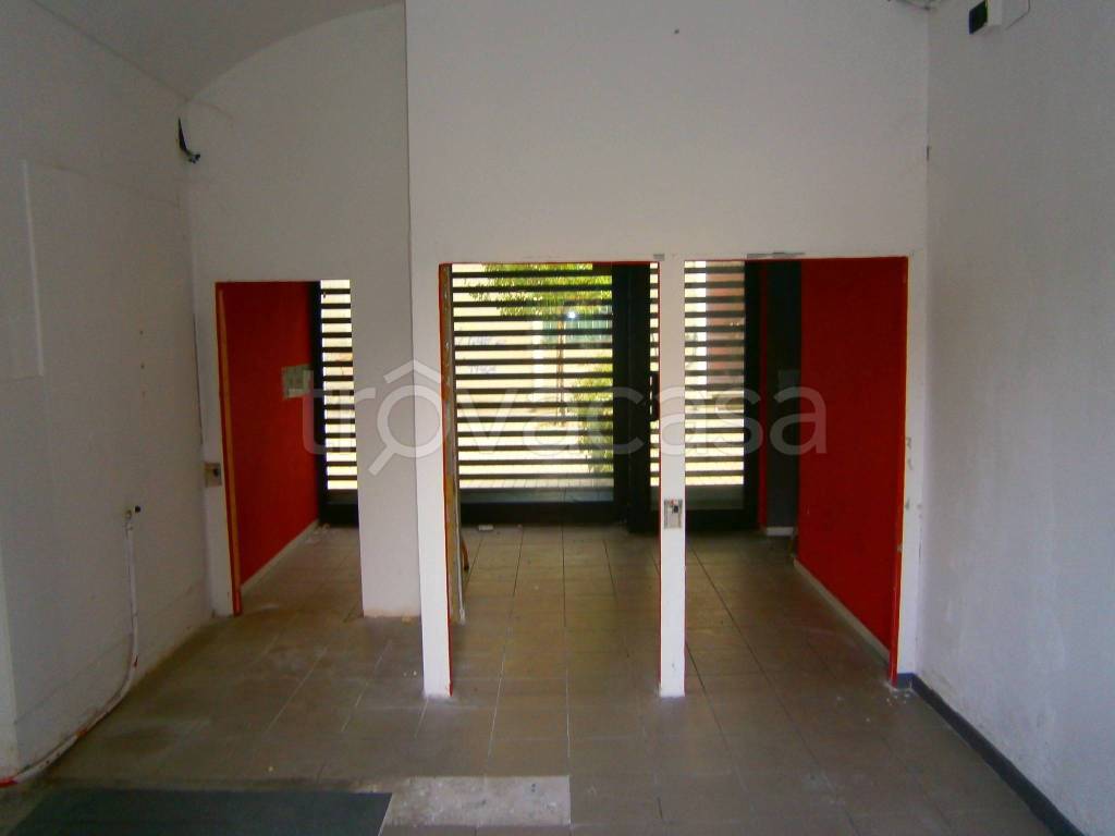 immagine annuncio 9 di 12