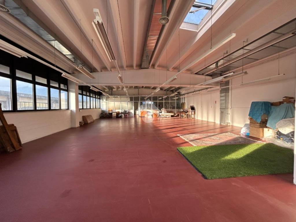 immagine annuncio 5 di 8