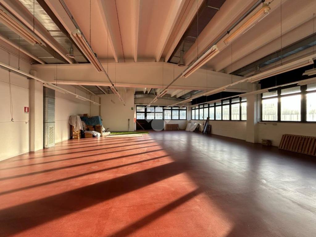 immagine annuncio 7 di 8