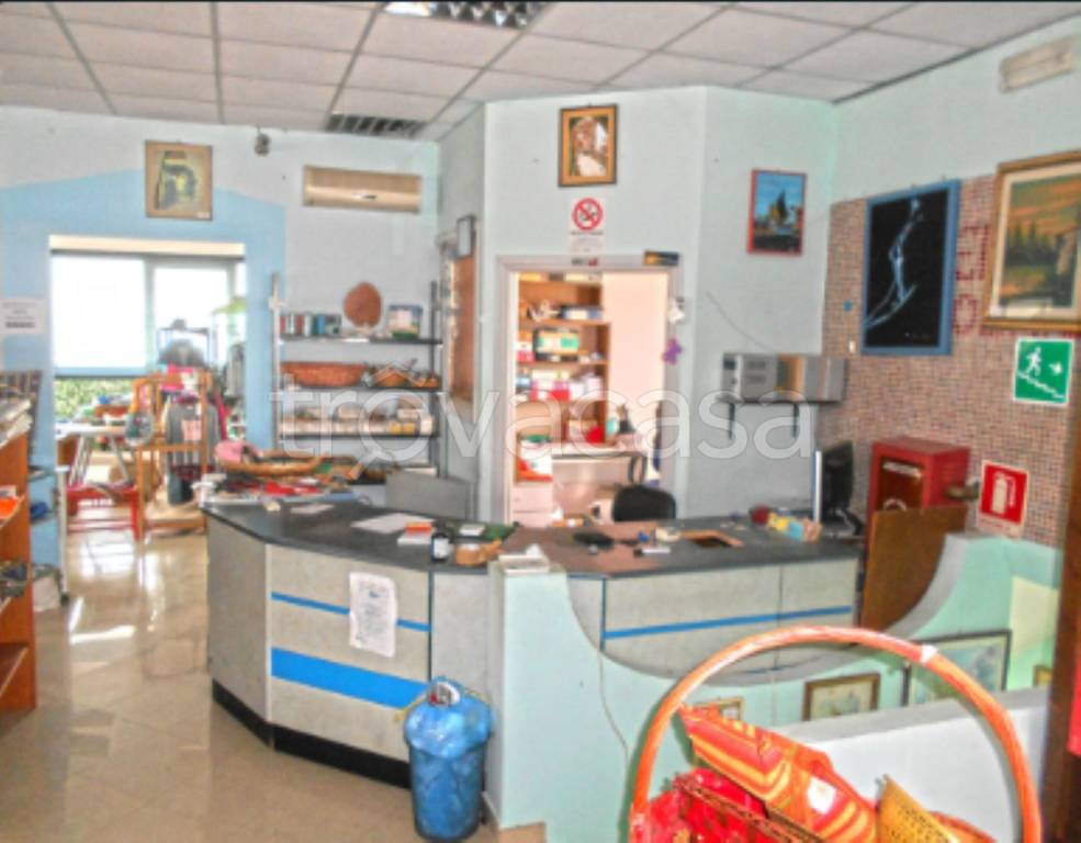 immagine annuncio 3 di 11