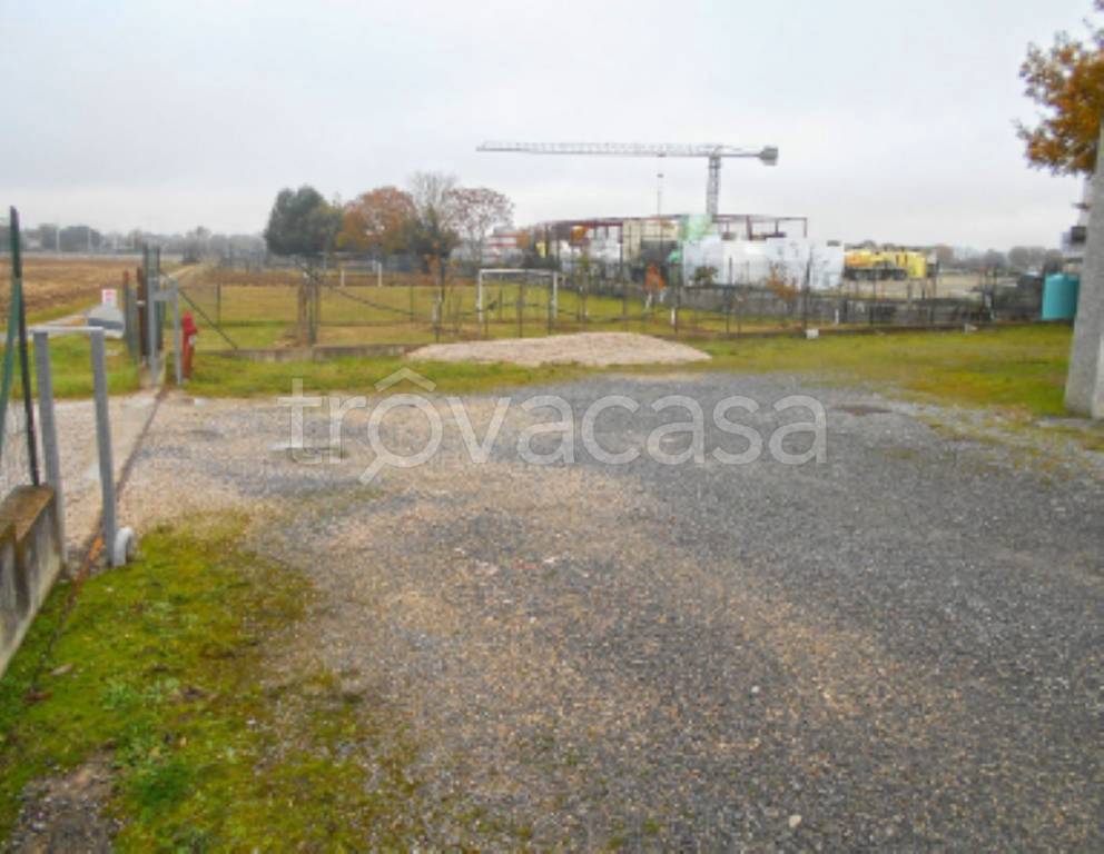 immagine annuncio 4 di 11