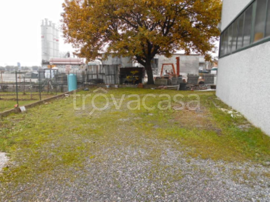 immagine annuncio 5 di 11