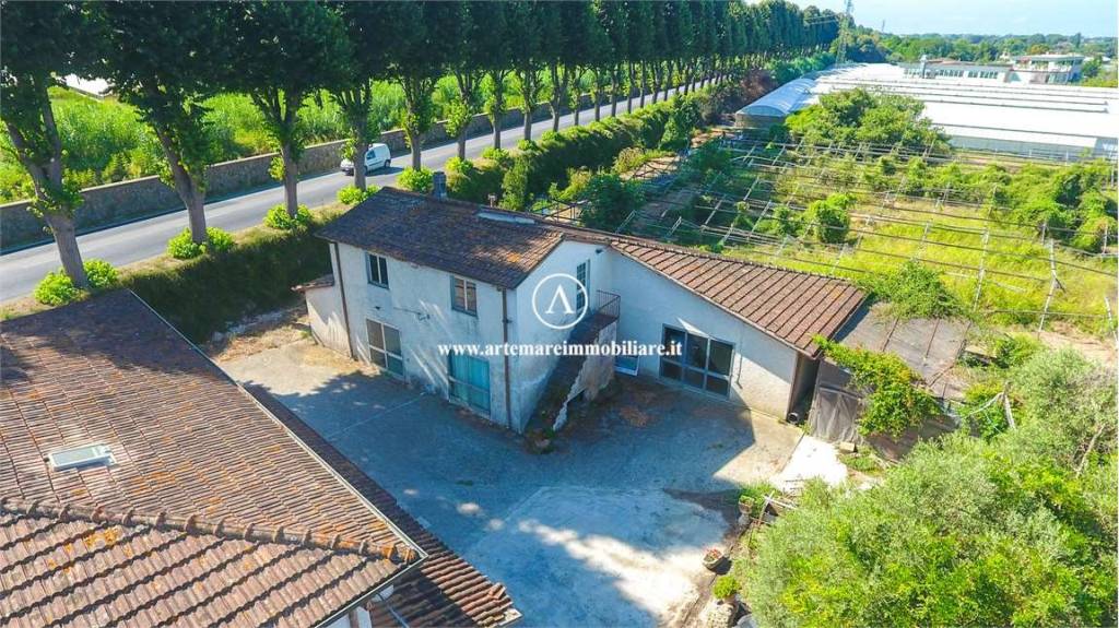 immagine annuncio 2 di 14