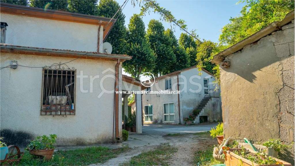 immagine annuncio 8 di 14